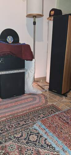 Maggiori informazioni su "Vendo Sonus Faber Liuto tower wood e subwoofer B&W Asw610"