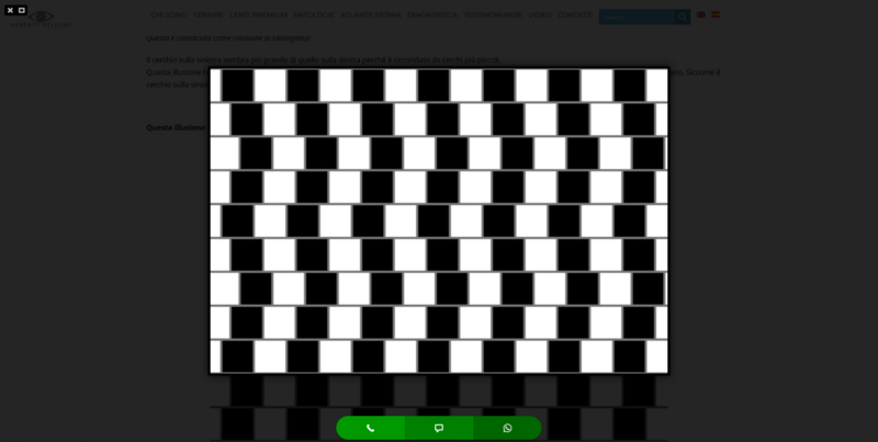 Screenshot 2025-09-10 at 16-30-34 20 famose illusioni ottiche spiegate con la scienza - Dr. Bellone.png