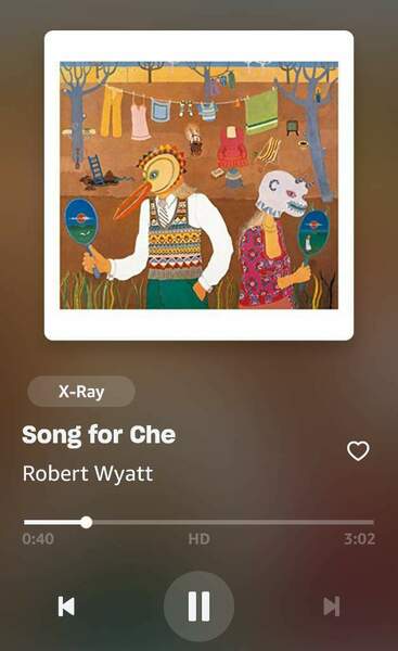 Screenshot_20250924_203313_Amazon Music.jpg