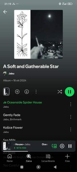 Screenshot_2025-10-18-21-19-51-764_com.spotify.music.jpg