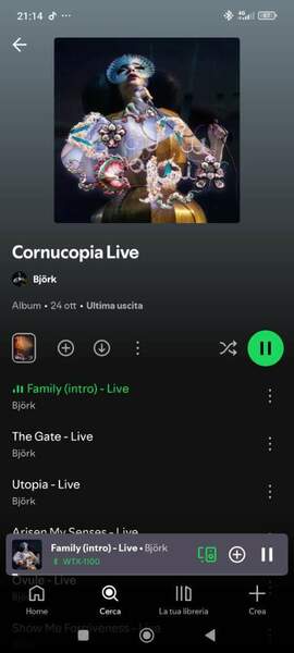 Screenshot_2025-11-22-21-14-54-265_com.spotify.music.jpg
