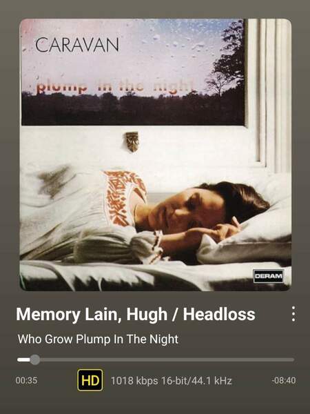 Screenshot_20251118_155510_WiiM Home.jpg