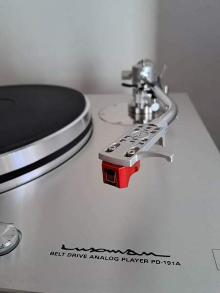 20240317_160544_resized_2 (1).jpg