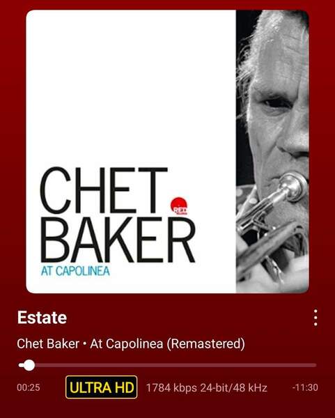 Screenshot_20251221_110403_WiiM Home.jpg