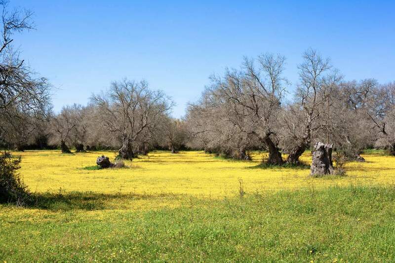 IMG_5690 mod photoshop1 ridotta a 2000.jpg