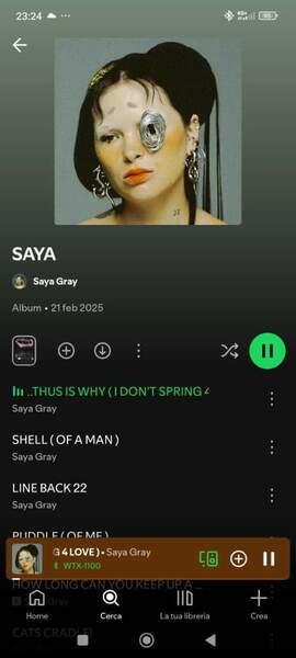 Screenshot_2026-01-03-23-24-20-018_com.spotify.music.jpg