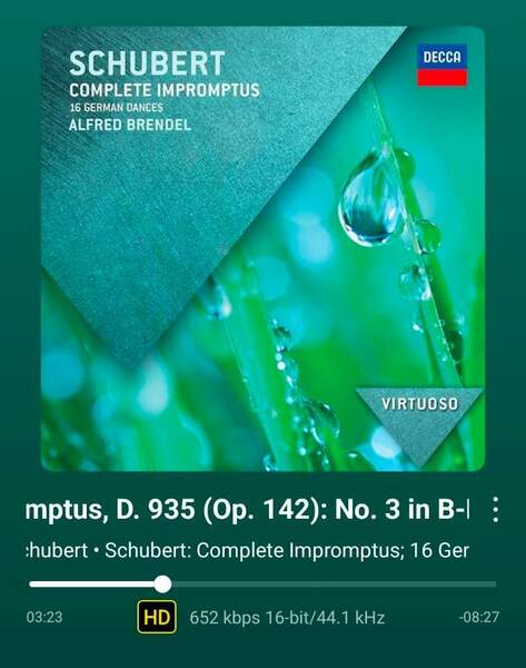 Screenshot_20260124_182050_WiiM Home.jpg