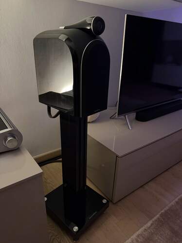 Maggiori informazioni su "Diffusori B&W PM1"