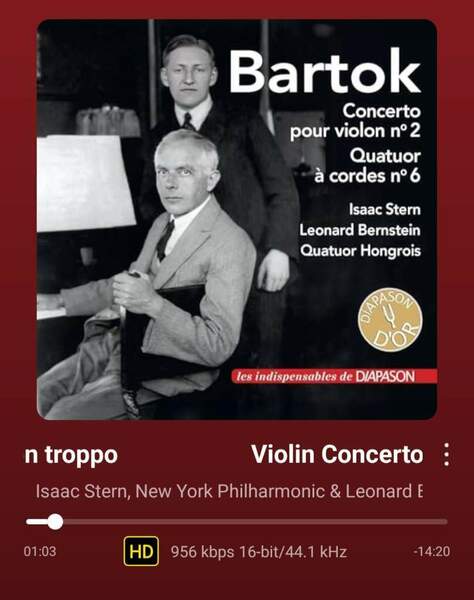 Screenshot_20260204_110431_WiiM Home.jpg