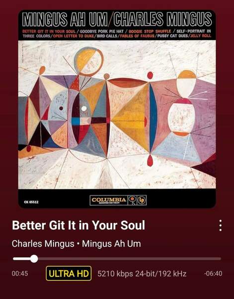 Screenshot_20260317_102305_WiiM Home.jpg