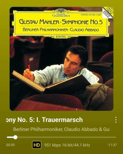 Screenshot_20260321_115519_WiiM Home.jpg