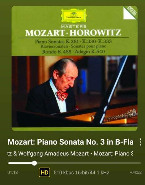 Screenshot_20260325_104824_WiiM Home.jpg