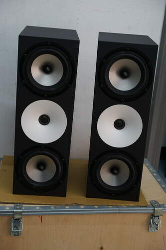 Maggiori informazioni su "Diffusori Amphion Two 18"