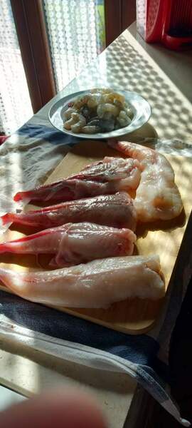IMG-20260414-WA0014.jpg