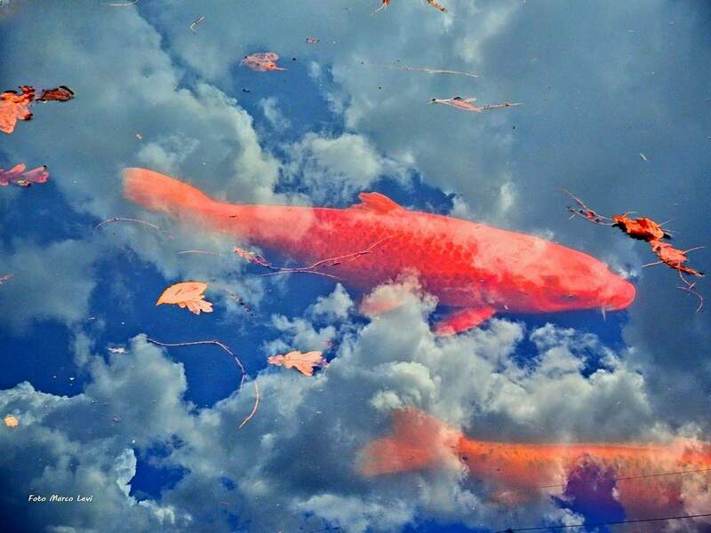 P5240494-1200-fotor-202511097229 okkk.jpg