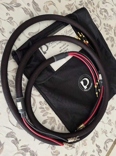 Maggiori informazioni su "Purist Audio Design Musaeus rev. C"