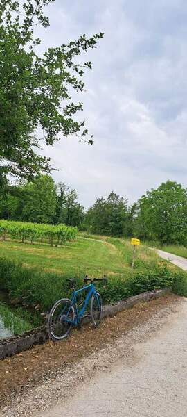 20260510_131235.jpg