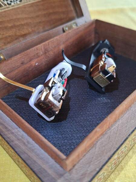 cocobolo.jpg