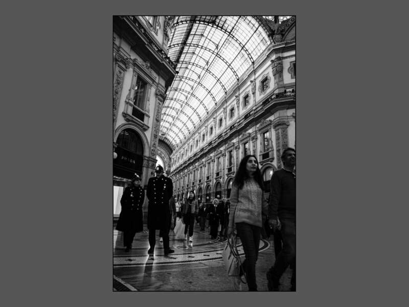 raccolta2026-060.thumb.jpg.d5e193806b7e130b9069ba303187ff36.jpg
