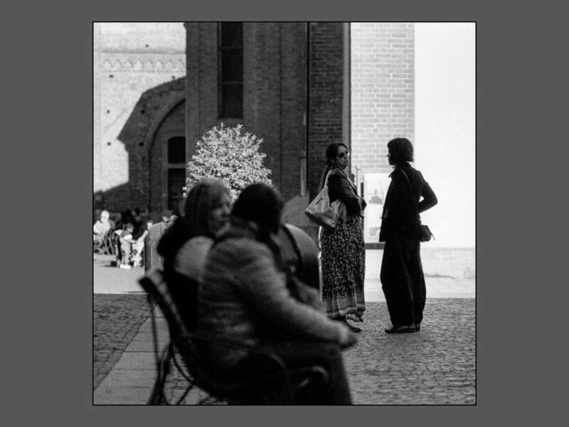 raccolta2026-150.thumb.jpg.8402a51188f72867540a193da43ac078.jpg