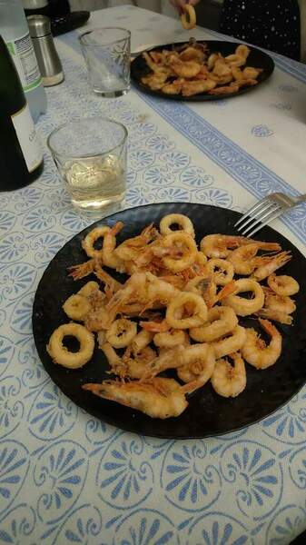 IMG-20260226-WA0012.jpeg