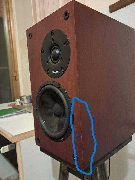 proac-10.jpg