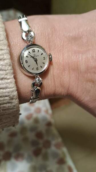 IMG-20260131-WA0000.thumb.jpg.0a1c967bab8c84e313af59c0f09ad0b9.jpg