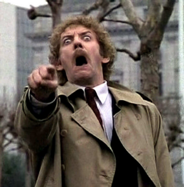immagine.thumb.png.8e2a3c116a249231a1d8de8e81e2bc53.png