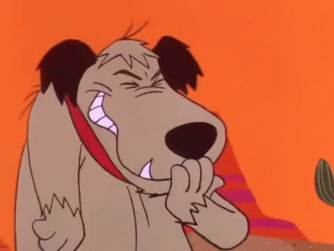 IMG_3840.gif.60b49c3d10bad055eb048c551b651e1b.gif