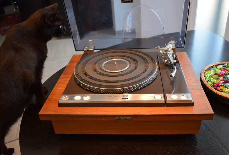 Pioneer2x.thumb.jpg.4fce4a71a83e129383e5ededcf35d44d.jpg
