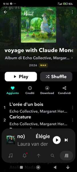 Screenshot_2026-10-28-09-14-47-083_com.aspiro.tidal.jpg