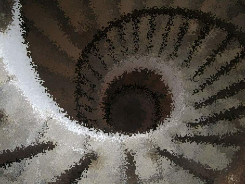VillaMediciconcertoPieranunzi020.thumb.jpg.0bdb3a55f3863a43f4edd84847dd52ea.jpg