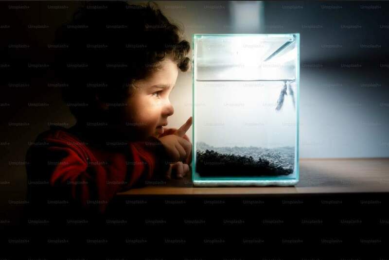 acquario piccolo.jpg